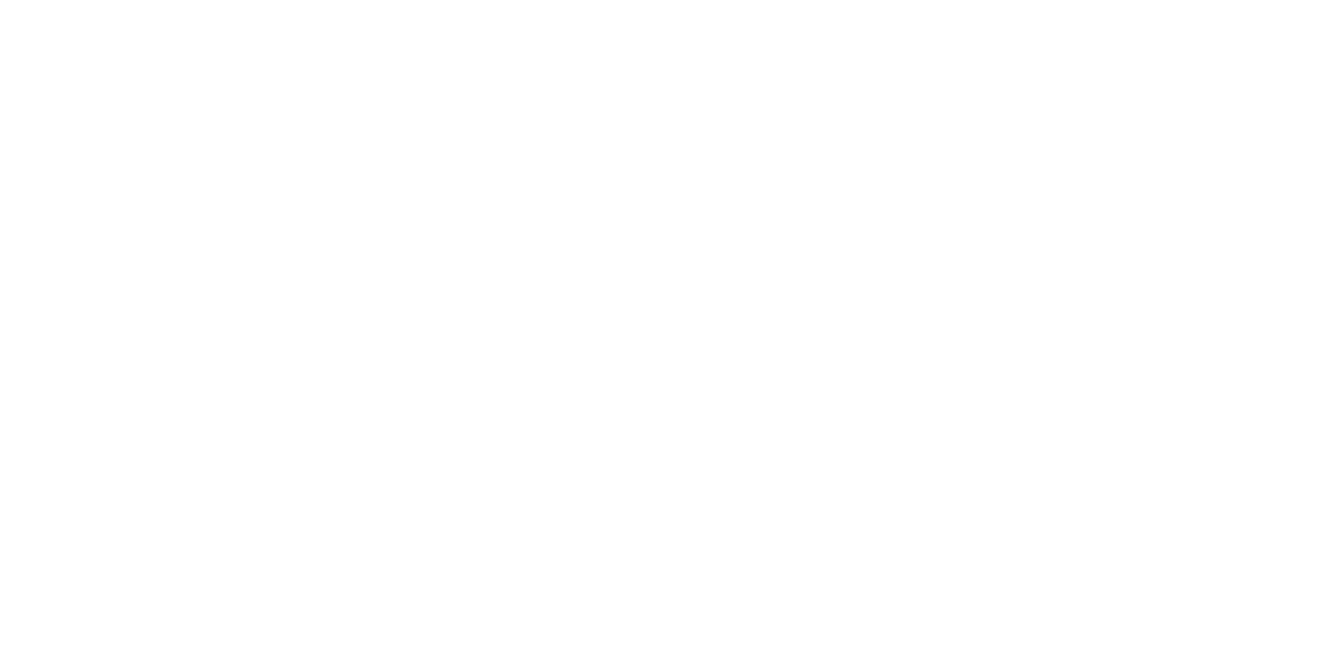 Béric Sport hero logo alt