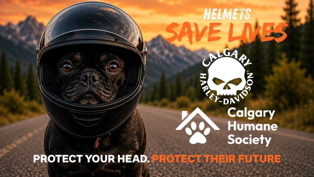 Helmet Awareness Month alt
