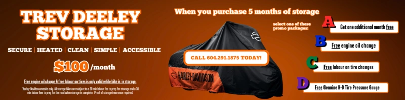 Winterize Your Harley! alt