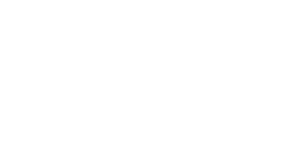 Palmerston Motorsports hero logo alt