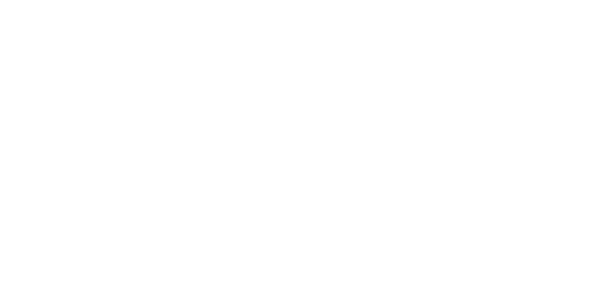 R4L Performance hero logo alt