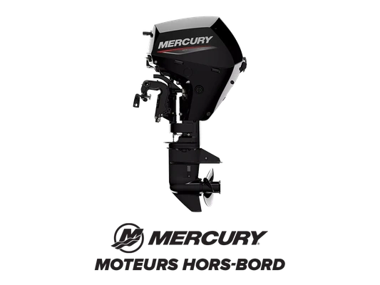 Moteur hors bord alt