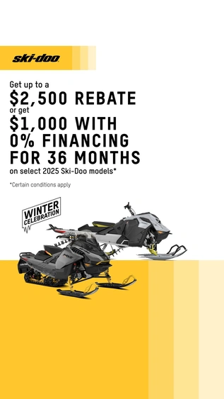 WINTER CELEBRATION alt