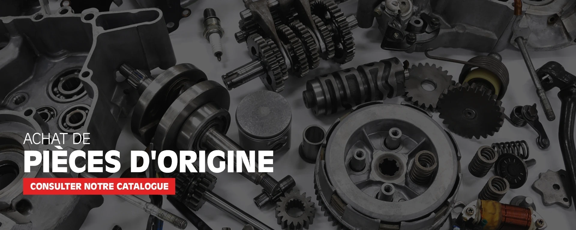 Achat de pièces d'origine - Consulter notre catalogue alt