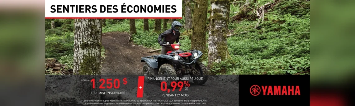 VTT