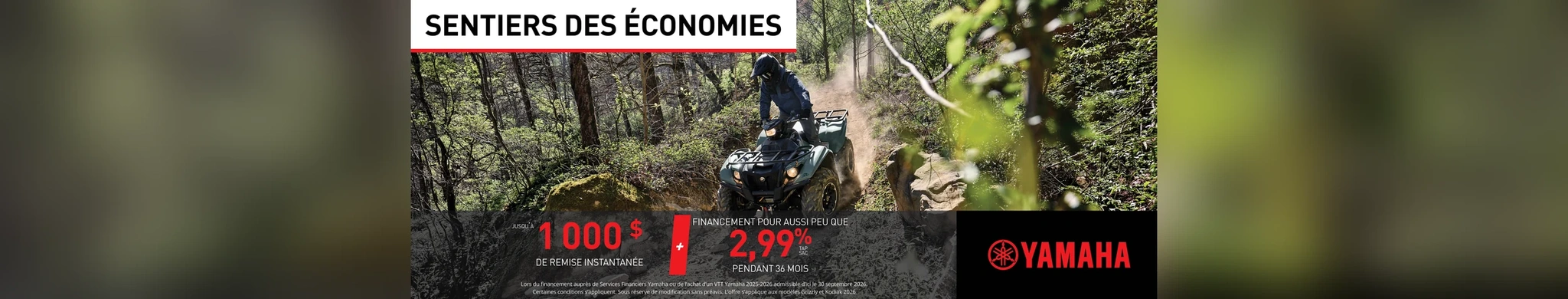VTT