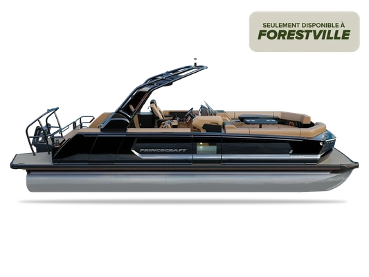 princecraft ponton alt