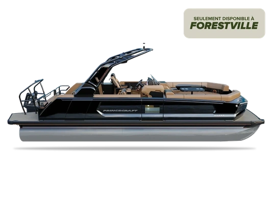 princecraft ponton