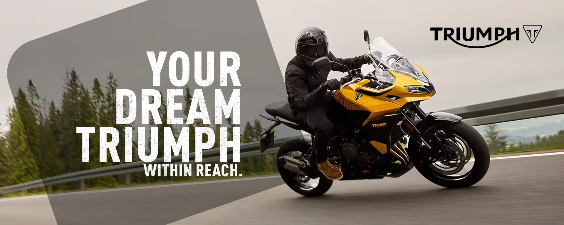 YOUR DREAM TRIUMPH. WITHIN REACH. alt