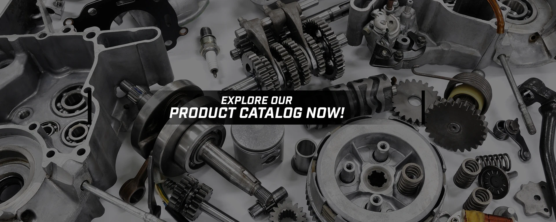 Explore our product catalog now!