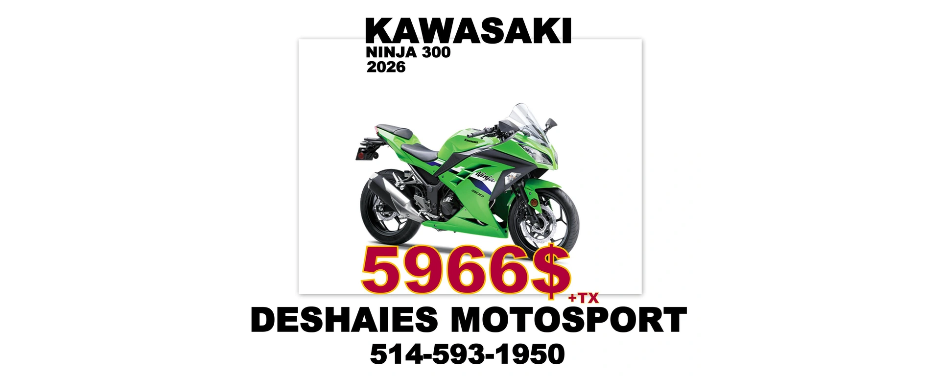 NINJA300