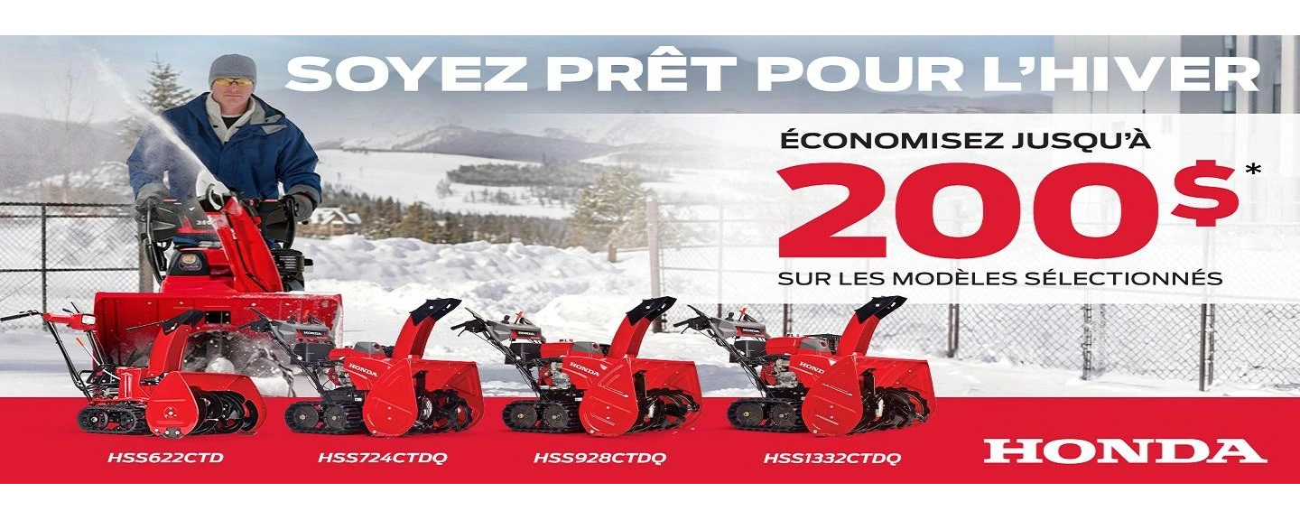 promotion souffleuse alt