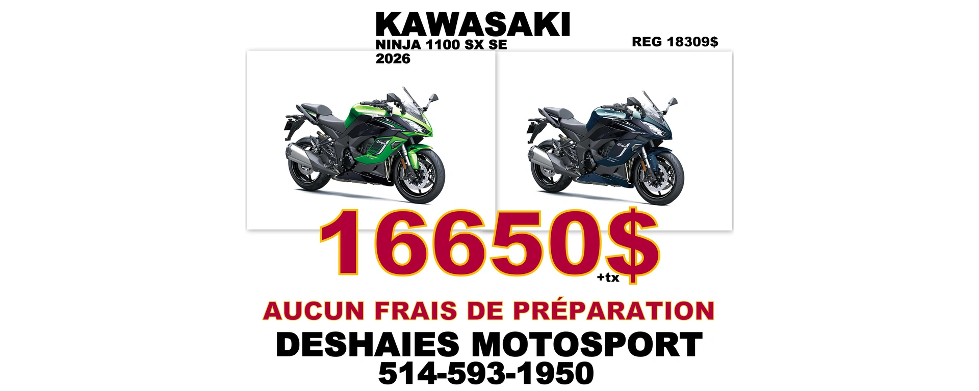 NINJA1100 alt
