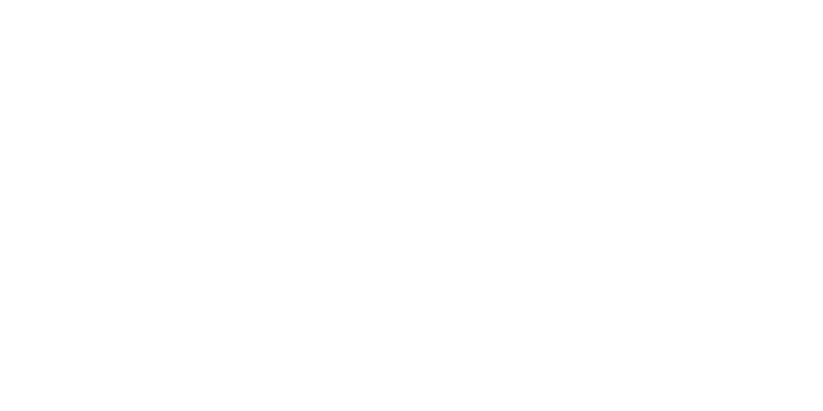 Palmer Motorsports hero logo