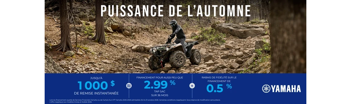 VTT