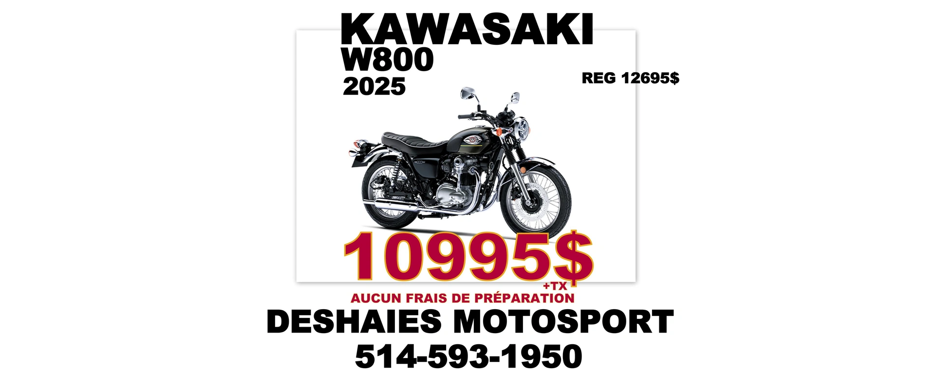 W800 alt