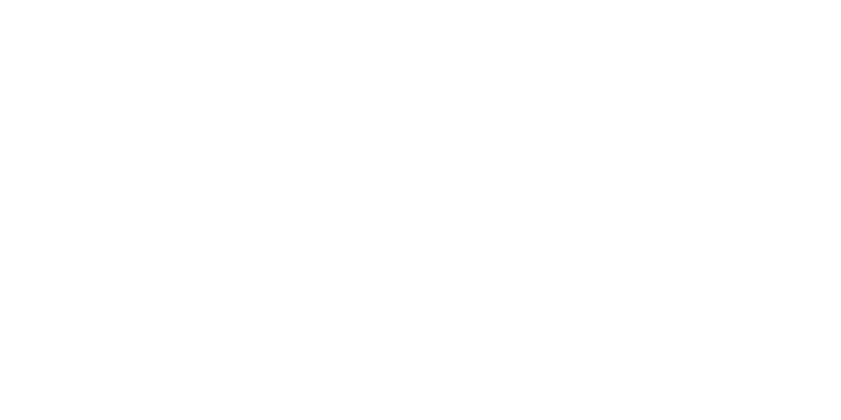 Camions Lussicam hero logo
