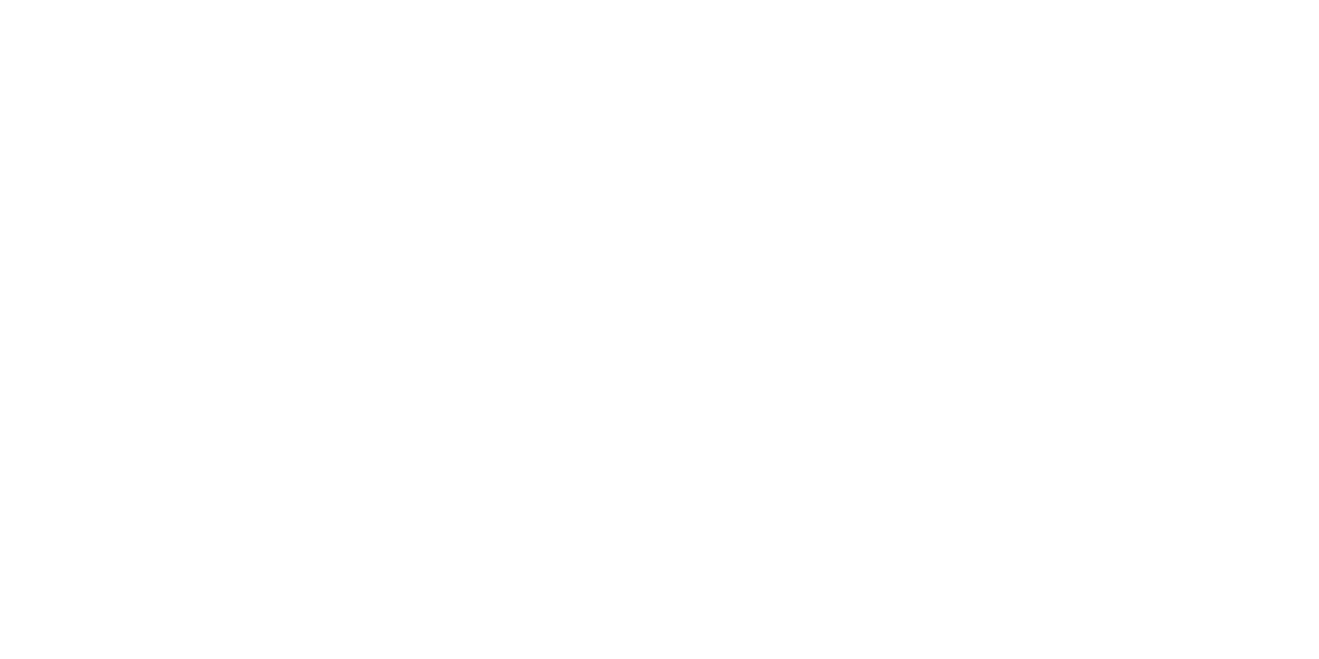 Tampa Triumph hero logo