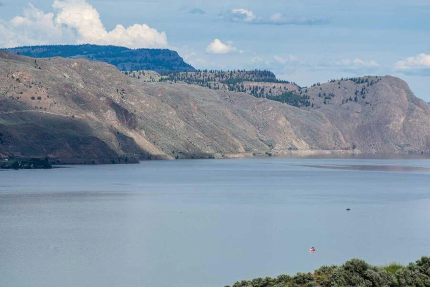 Balanced vs non balanced leeches alt