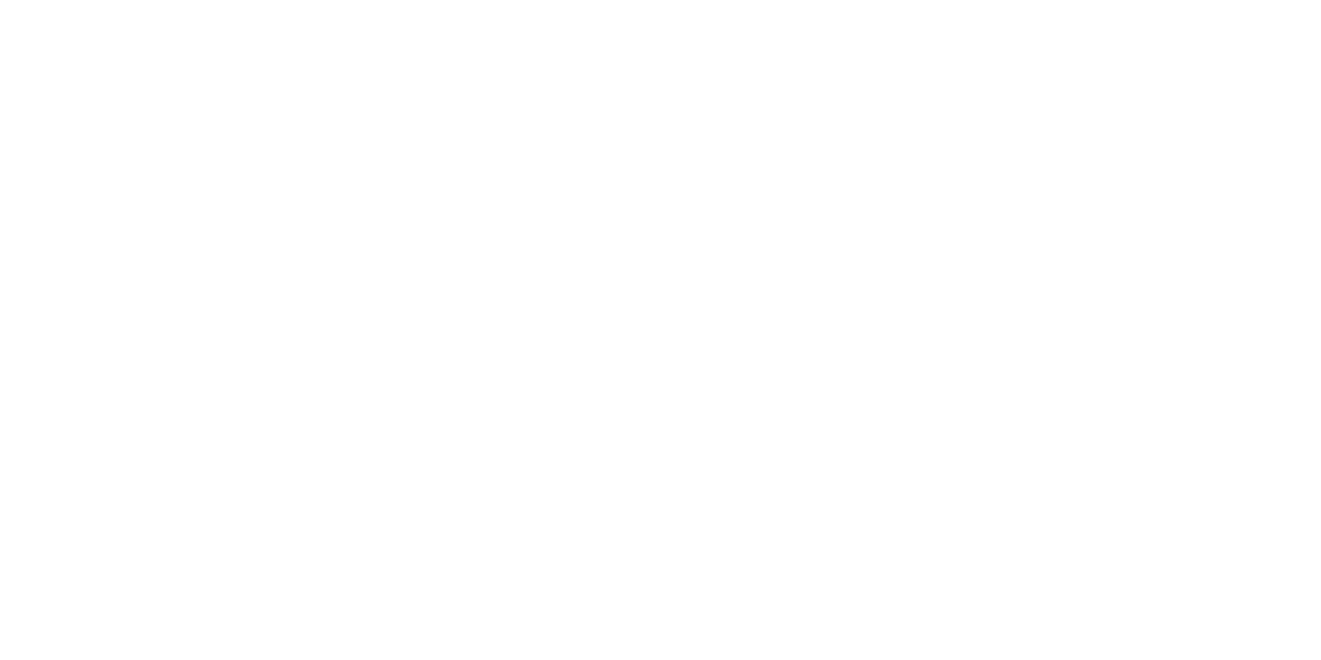Performance Voyer hero logo alt