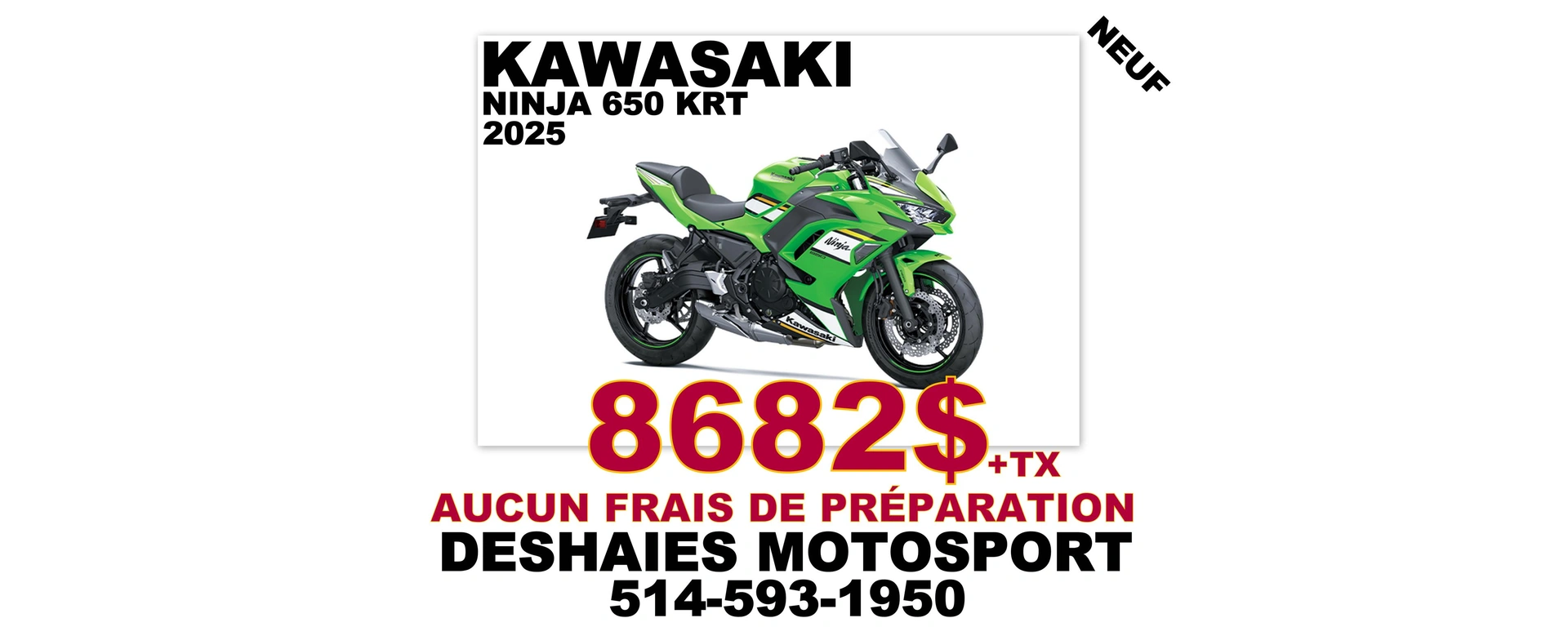 NINJA650 alt