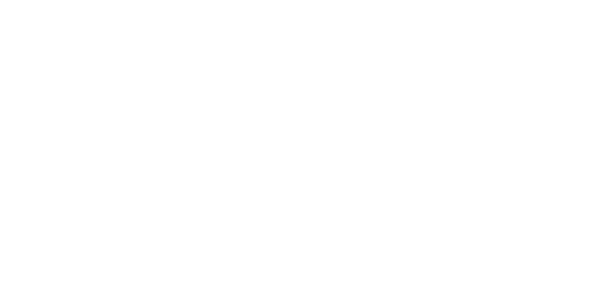 Performance Voyer hero logo alt