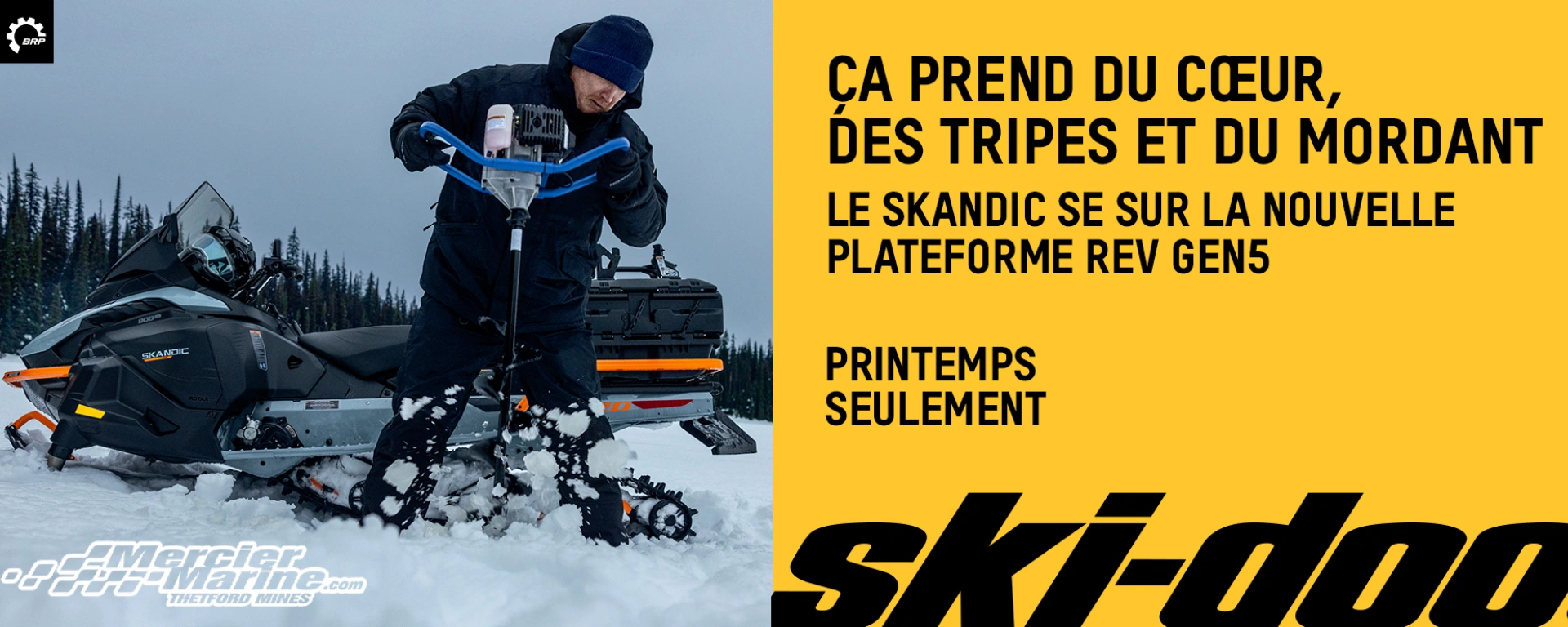 Skandic SE 2027, modèle disponible seulement au printemps alt