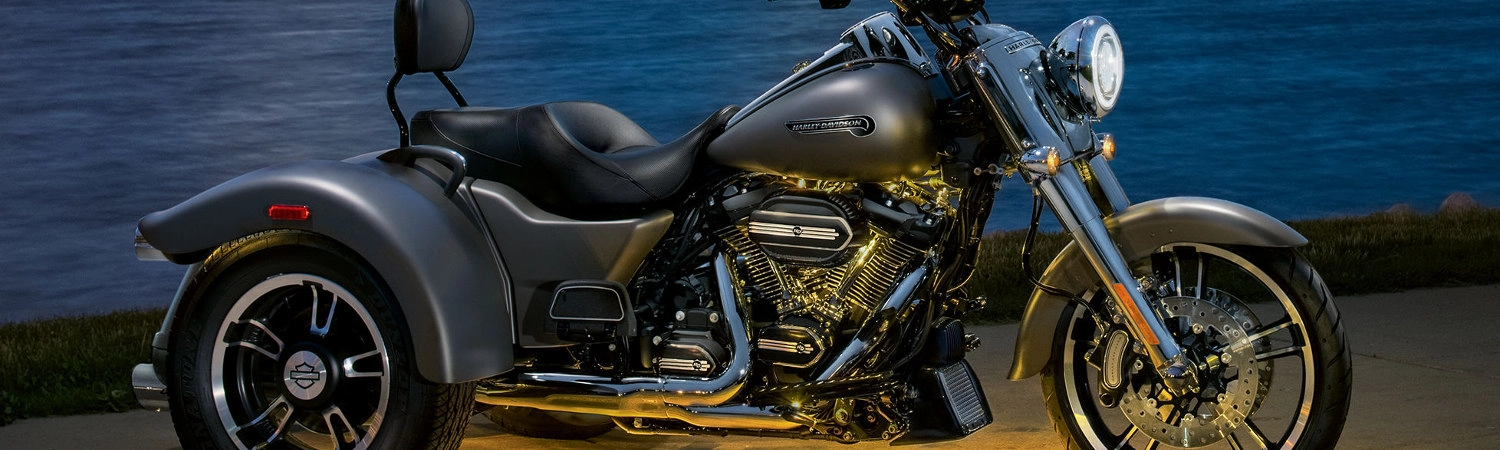 Harley-Davidson fuel stabilizer bottle