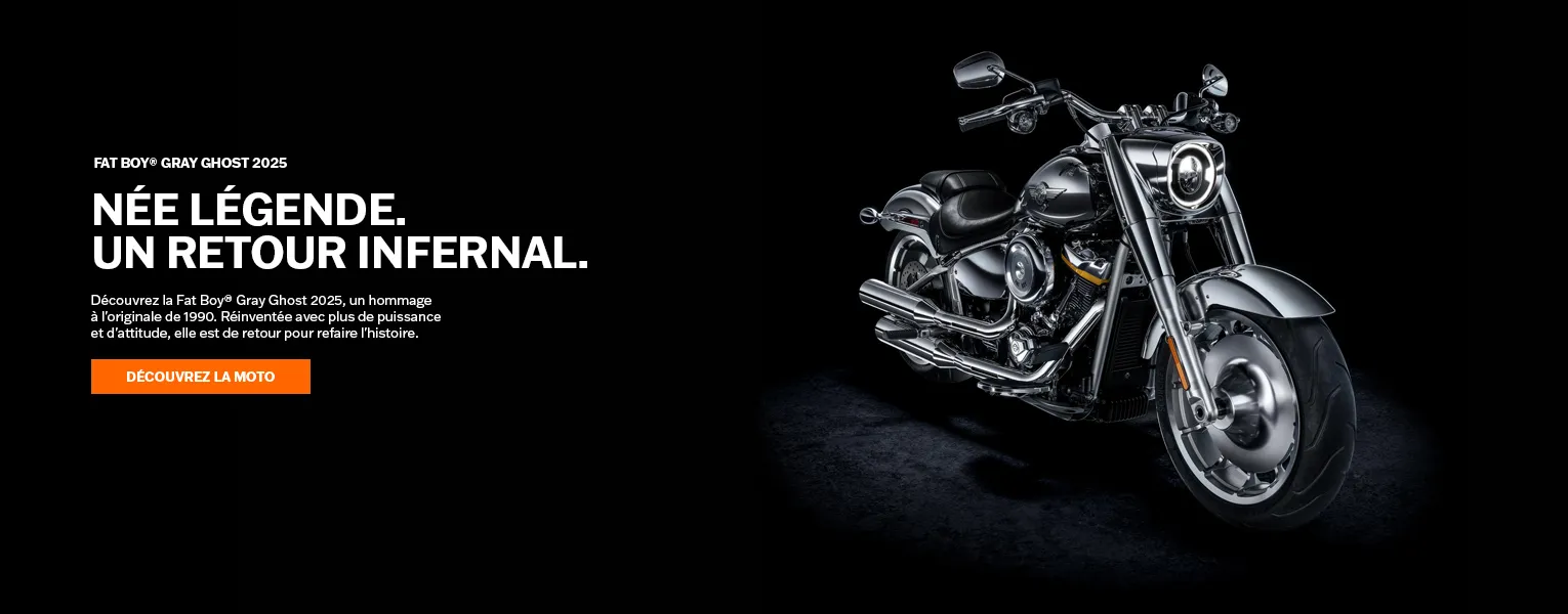 2025 Fat Boy® Gray Ghost