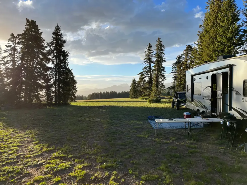 Roulotte 2024 en camping.