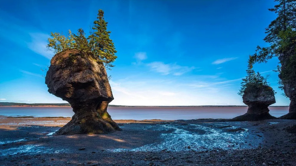 Vue du parc national de Fundy