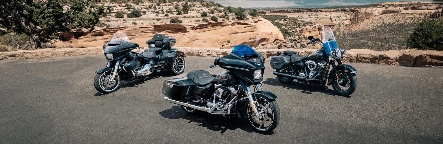 COLLECTION DE MOTOS ENTHUSIAST alt